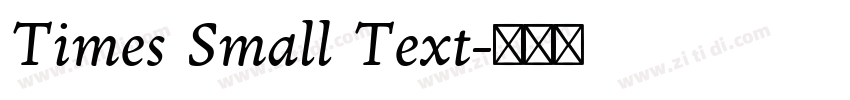 Times Small Text字体转换